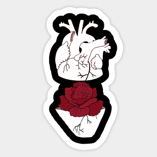 Anatomy heart flower Sticker